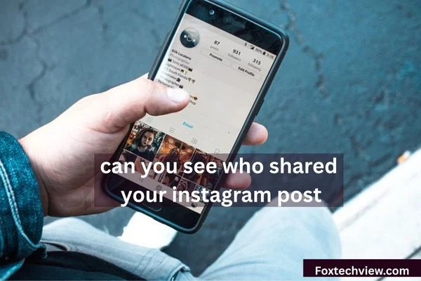 Screenshot showing can you see who shared your instagram post using insights and story mentions.