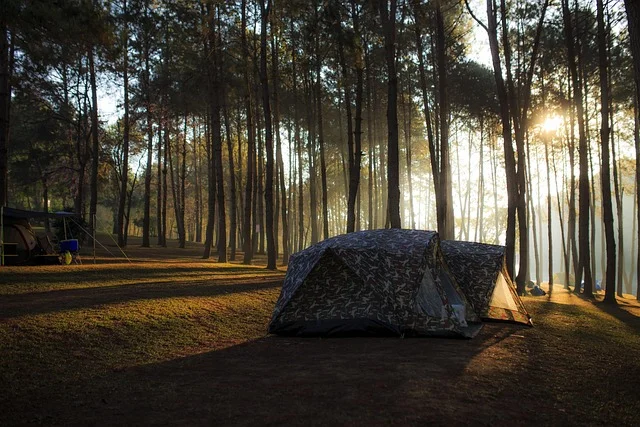 Camouflage Tarnplanen set up in outdoor environment showcasing durability and versatility.